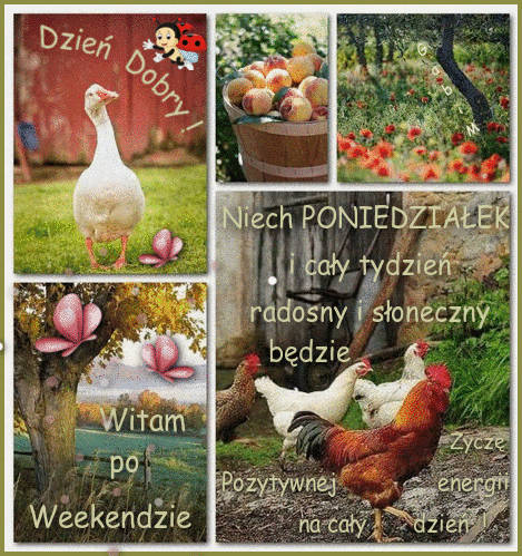 Kartka Dzie� Dobry ✿ Witam po Weekendzie ...