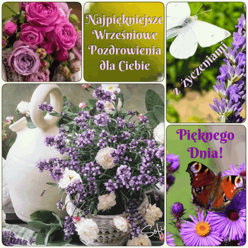 Kola� z lawend�, r�owymi r�ami, motylami i wrze�niowymi pozdrowieniami w zielonej i fioletowej tonacji