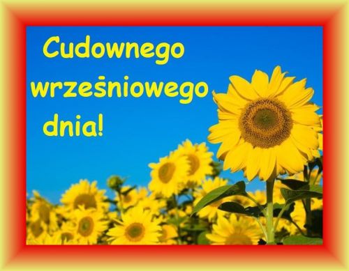 ��te s�oneczniki na tle b��kitnego nieba z napisem Cudownego wrze�niowego dnia w czerwonej ramce