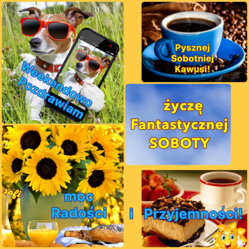 Pies w okularach z telefonem, niebieska fili�anka kawy, bukiet s�onecznik�w i ciasto z truskawkami