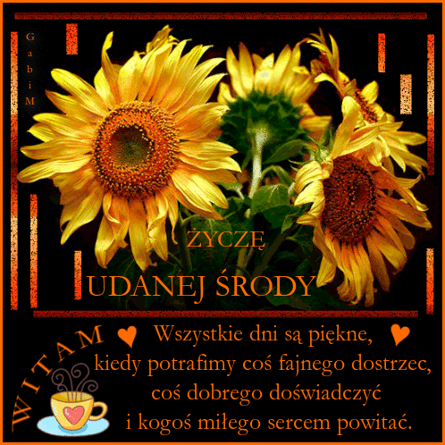 Kartka Witam i �ycz� Udanej �rody ...