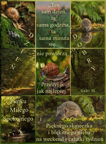Kolorowy kola� z je�ami, �limakami, le�nymi krajobrazami oraz napisami Dzie� Dobry i �yczeniami
