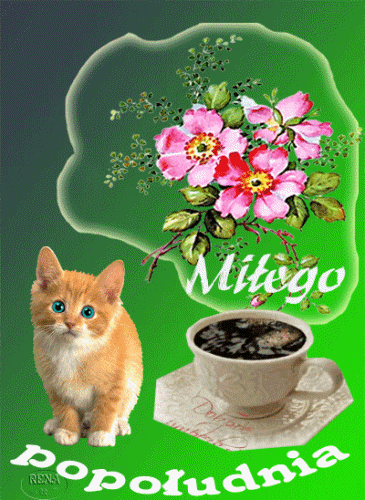 Rudy kot, fili�anka czarnej kawy i r�owe kwiaty na zielonym tle z napisem Mi�ego popo�udnia