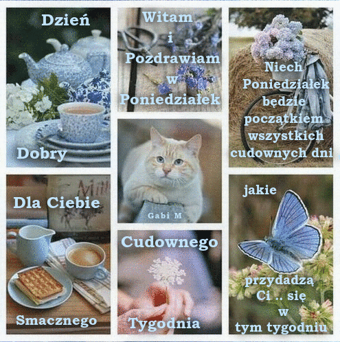 Kola� z napisam Dzie� dobry, kotem, kaw�, niebieskim motylem i bukietem kwiat�w
