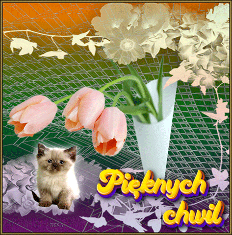 Ma�y puszysty kotek, r�owe tulipany w wazonie, dekoracyjne li�cie, kwiaty oraz napisy Pi�knych chwil