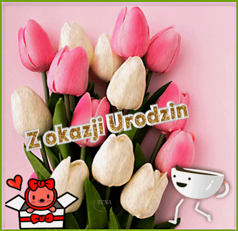 Bukiet r�owych i bia�ych tulipan�w, z�oty napis Z okazji Urodzin oraz u�miechni�ta fili�anka kawy