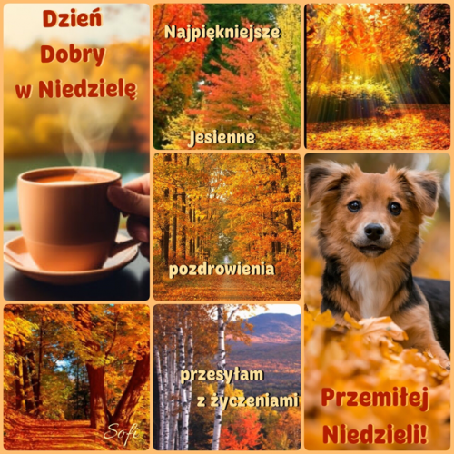 Kolorowy kola� z jesiennymi krajobrazami, kubkiem kawy, uroczym psem oraz napisami z pozdrowieniami