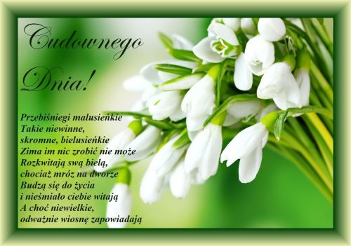 Kartka �ycz� Ci cudownego dnia!