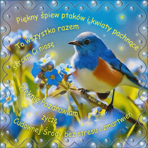 Kartka Pi�knie Pozdrawiam i �ycz� Cudownej �rody ...