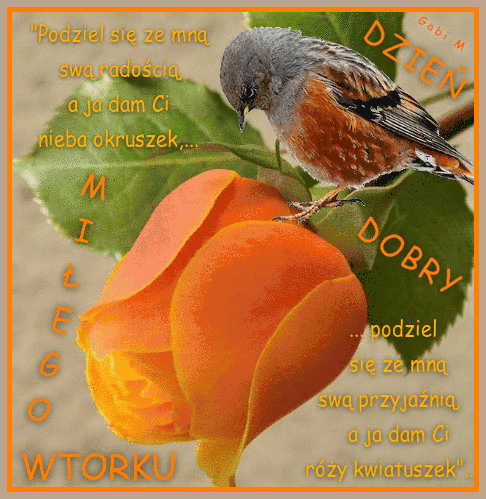 Ma�y ptak siedzi na p�ku pomara�czowej r�y w�r�d zielonych li�ci z napisem Dzie� dobry