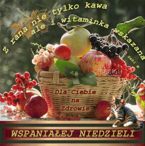 Kosz pe�en owoc�w, jab�ka, winogrona, siedz�cy kot i napisy z �yczeniami dobrego dnia
