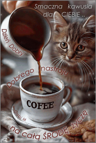 Ma�y kotek patrzy na fili�ank� kawy z napisem COFEE, do kt�rej nalewany jest nap�j