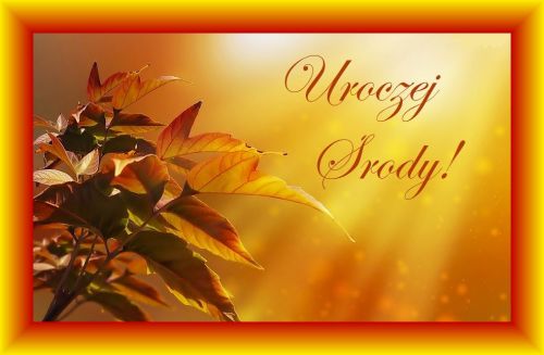 Jesienne li�cie na tle s�onecznego blasku i napis Uroczej �rody w ��tej ramce