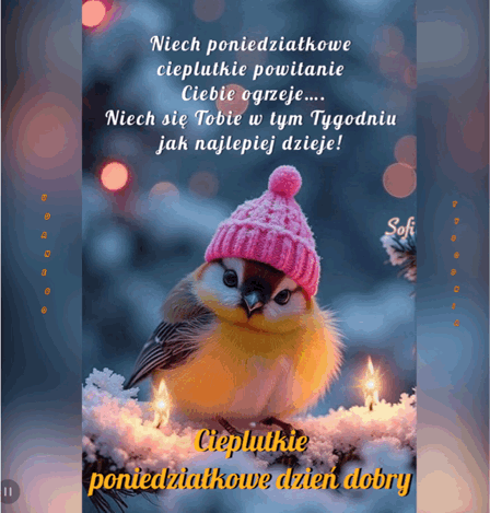 Uroczy ptaszek w r�owej czapce siedzi na za�nie�onej ga��zi z napisem powitalnym