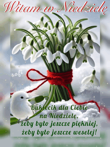 Bia�y ptak i bukiet przebi�nieg�w zwi�zany czerwon� wst��k� w �niegu z napisem Witam w Niedziel�