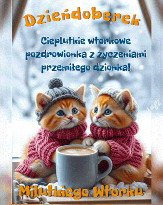 Dwa ma�e rude kotki w sweterkach i czapkach pij� kaw� z kubka, napisy wtorkowe