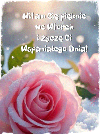 R�owa r�a na �niegu z napisem Witam Ci� pi�knie we Wtorek i �ycz� Ci Wspania�ego Dnia