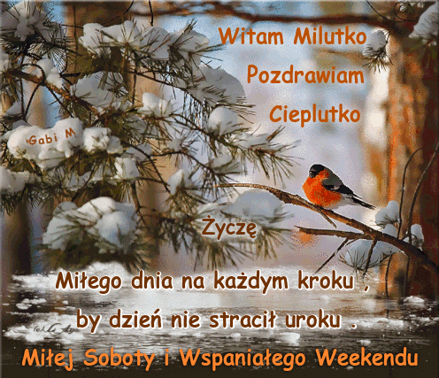 Zimowy krajobraz z o�nie�onymi ga��ziami, rudzikiem oraz napisem Mi�ej Soboty i Wspania�ego Weekendu