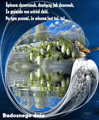 Ptak na tle przebijaj�cych si� przez �nieg bia�ych przebi�nieg�w oraz wiosenny wiersz