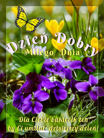 ��ty motyl, fio�ki i ��te krokusy z napisem Dzie� Dobry Mi�ego Dnia