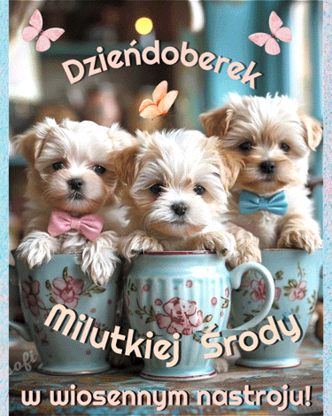Trzy ma�e szczeniaki w ozdobnych fili�ankach, napisy Dzie�doberek, Milutkiej �rody i lataj�ce motyle