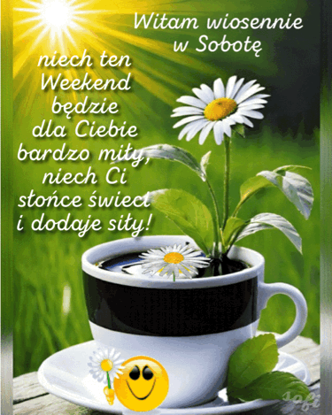 Fili�anka kawy z rosn�cymi stokrotkami, u�miechni�ta bu�ka, s�oneczne t�o i napis Witaju wiosennie w Sobot�