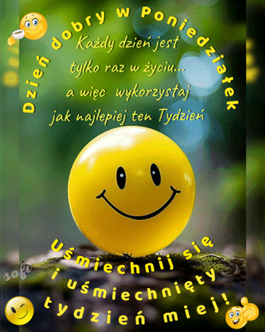 Żółta buźka emoji na leśnym tle z napisem Dzień dobry w Poniedziałek i życzeniami