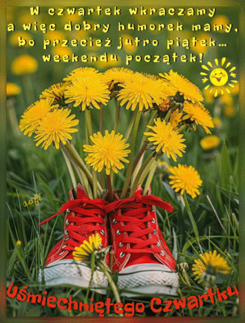 Żółte mlecze w czerwonych trampkach na trawie z napisem o czwartku i weekendzie