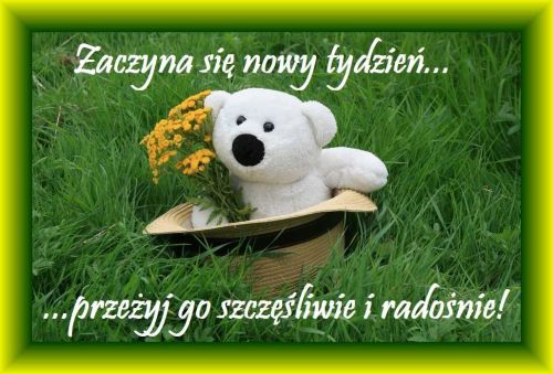 [B��D]