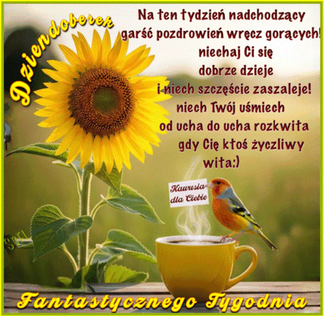 ��ty s�onecznik, fili�anka kawy z ptaszkiem trzymaj�cym karteczk� i napis Dziendoberek oraz �yczenia tygodnia