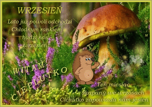W lesie du�y borowik, ma�y je�, fioletowe wrzosy i jesienny wiersz o wrze�niu