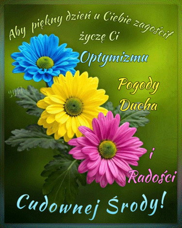 Kolorowe kwiaty chryzantem i zielone li�cie na tle z �yczeniami cudownej �rody