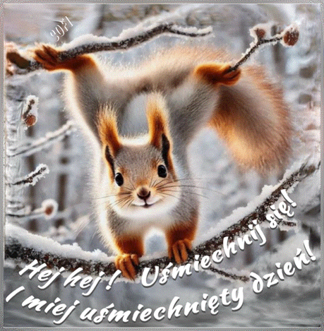 Ruda wiewi�rka w zimowej scenerii trzyma si� o�nie�onych ga��zi, z napisem Hej hej! U�miechnij si�!
