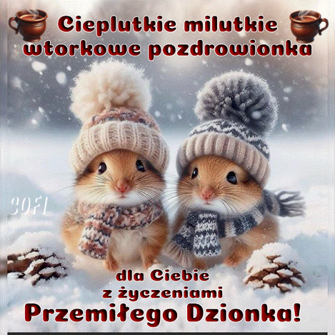 Dwa ma�e chomiki w zimowych czapkach i szalikach siedz� w �niegu w�r�d fili�anek kawy