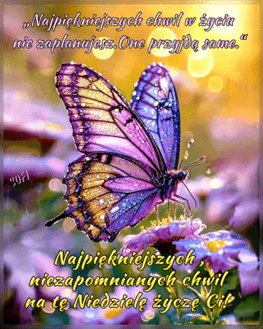 Fioletowy motyl siedzi na kwiatku w�r�d rozmytych �wiate� t�a z motywacyjnym napisem
