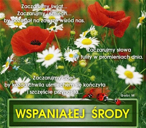 Czerwone maki i bia�e margaretki na ��ce z napisem Wspania�ej �rody oraz wierszem