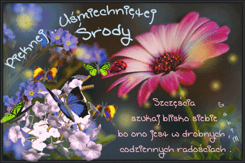 Różowy kwiat, motyle, niezapominajki i napis Pięknej uśmiechniętej środy