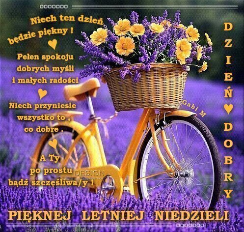 Żółty rower z koszem pełnym żółtych kwiatów i lawendy na tle lawendowego pola z napisem