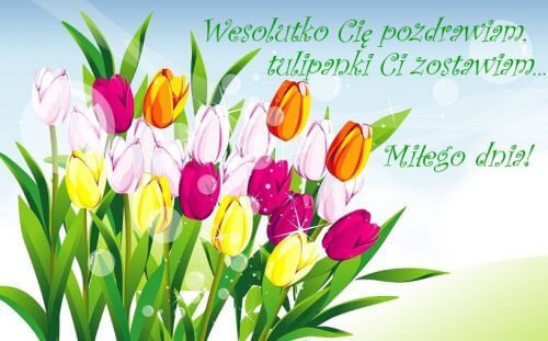 Bukiet kolorowych tulipan�w z zielonymi li��mi oraz napisy z pozdrowieniami i �yczeniami mi�ego dnia