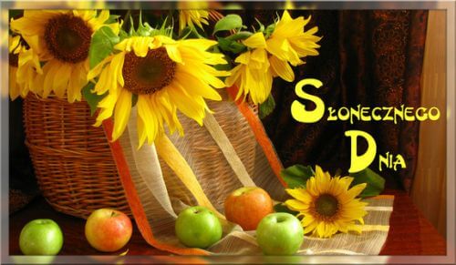 Wiklinowy kosz pe�en ��tych s�onecznik�w, kolorowe jab�ka na stole i napis S�onecznego Dnia