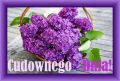 Dzie� dobry! Cudownego Dnia!