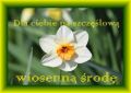 Dla Ciebie na szcz�liw� �rod�!