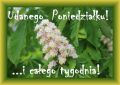 Poniedzia�ku udanego i ca�ego tygodnia takiego!