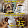 😀Uśmiechnięte poniedziałkowe dzień dobry!