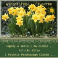 Wspaniałego Czwartku ✿ Życzę ...