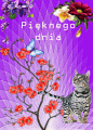 Pi�knego dnia