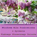 Przesyłam Wtorkowe Miłe Pozdrowionka ...