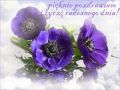 Pozdrawiam i �ycz� radosnego dnia!