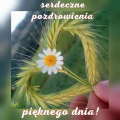 ☀Latem pachnące dzień dobry!