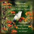 🤗Udanego Tygodnia!